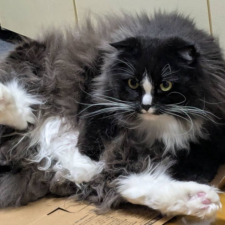 2c05a3b8 4efc 4266 bb6a d168e8610cdb 1772893086490