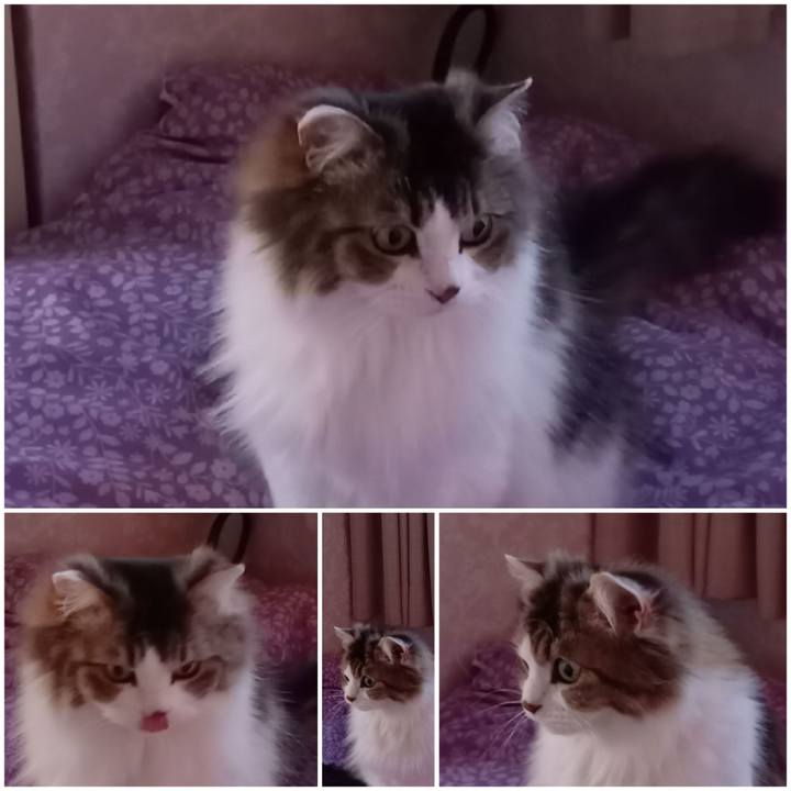 2c05a420 d626 4bee bf83 9a17ad3a3b0a 1611564397639