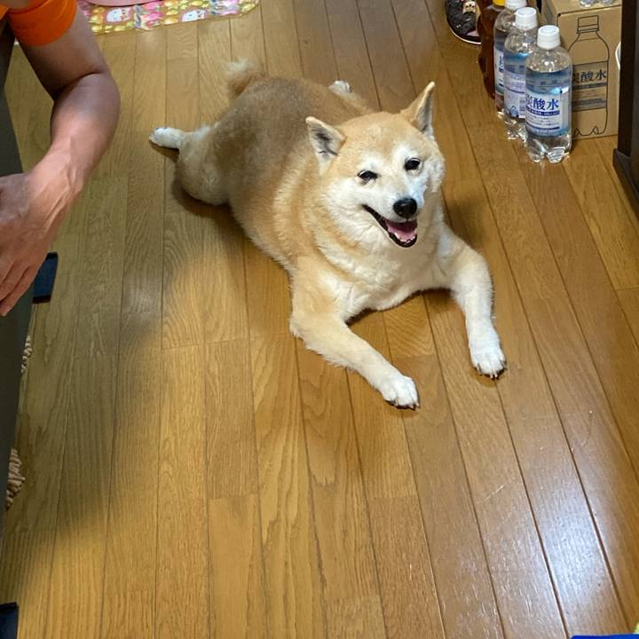 2c05c30a dc08 44b1 bfdd ab3e76a9a710 1625743973530