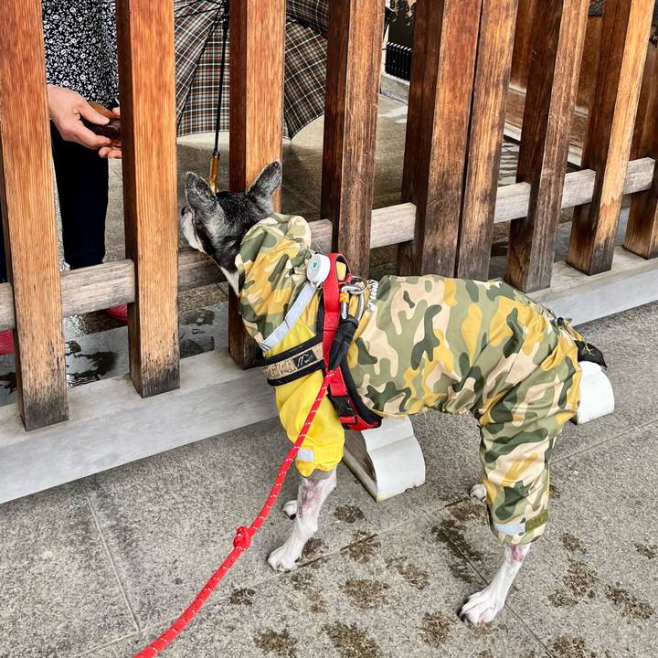 2c060c12 7178 4632 8cc2 f9adca3a0ff4 1651367107454