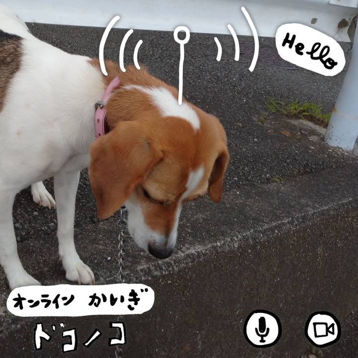 2c061338 faef 47a2 a21a 5f7763b6556c 1592800568991