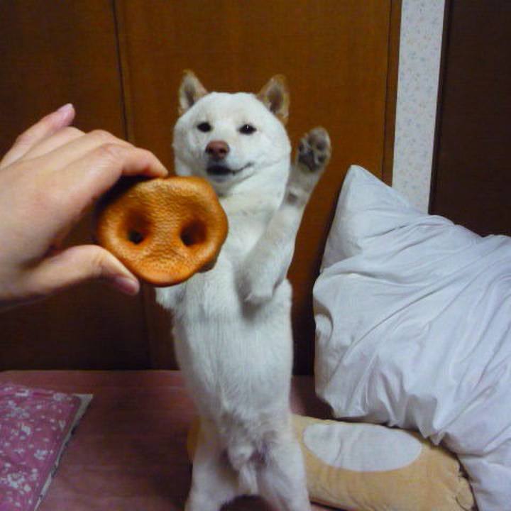 2c06150f 9fa8 4830 b656 3e585a7156a9 1640589503086