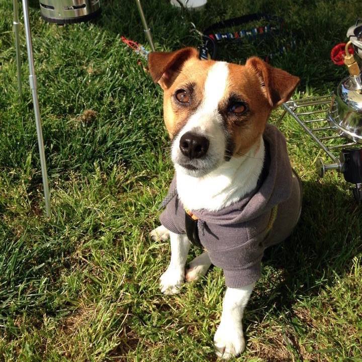 2c06509d 5dc2 46bf bc03 d27b6622ee4f 1682466773150