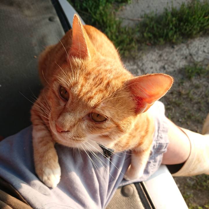 2c0650b0 36f9 49a0 b467 74c6a9b1c49e 1564779099698