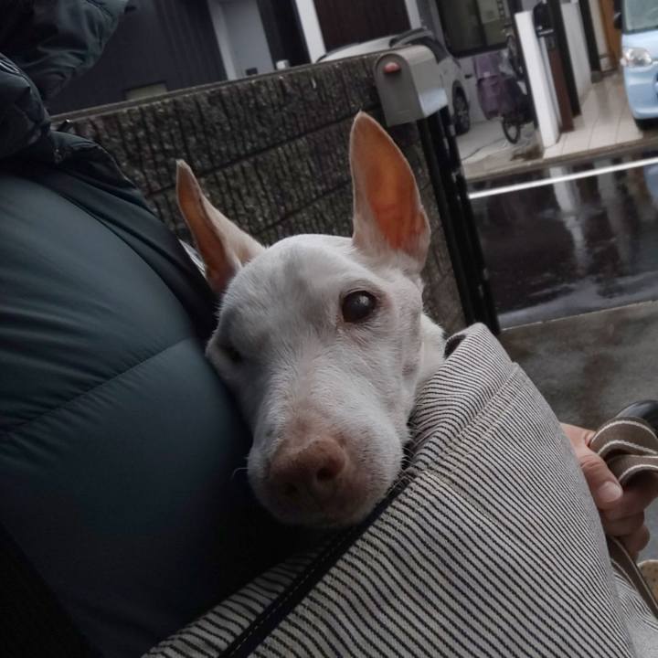 2c0653f1 5acb 4b78 b9a1 480dad687c89 1613344984052