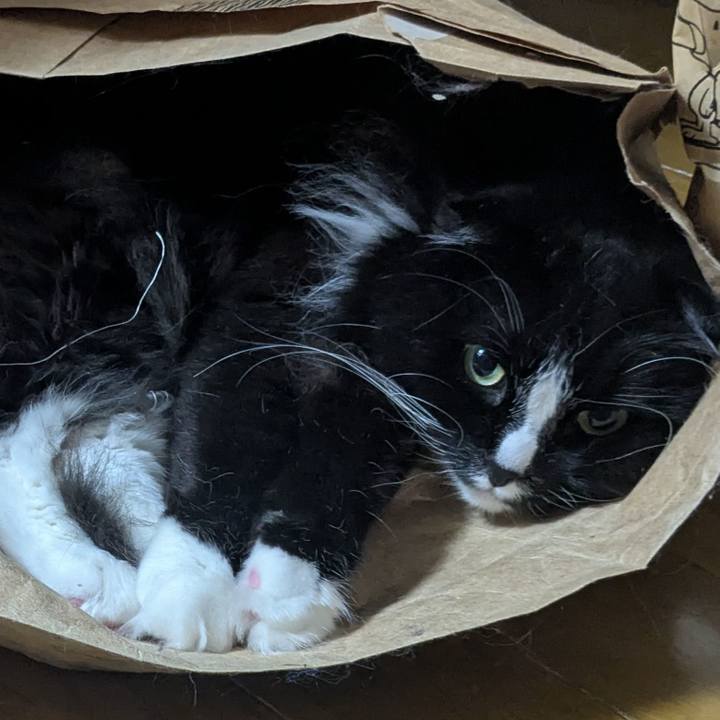 2c065c89 34d9 4eec 91a7 5e35f1e1a304 1747608386640