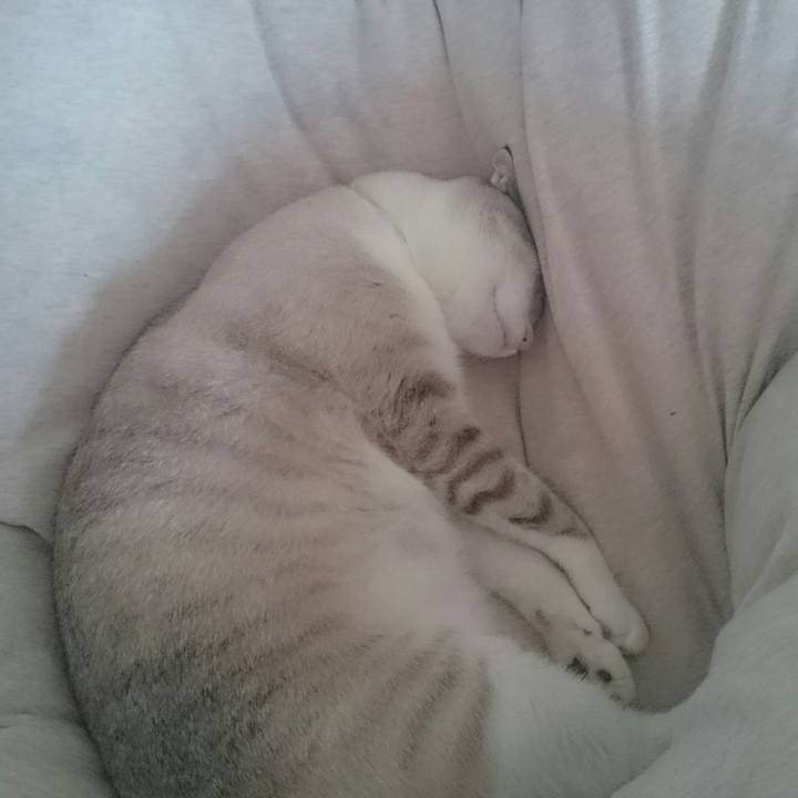 2c0662df c085 4e51 aa5b a56b9ad5d423 1534042498045