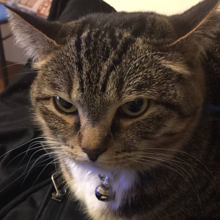 2c067207 9741 4b9f 80de cd11ba3e4020 1552577104636