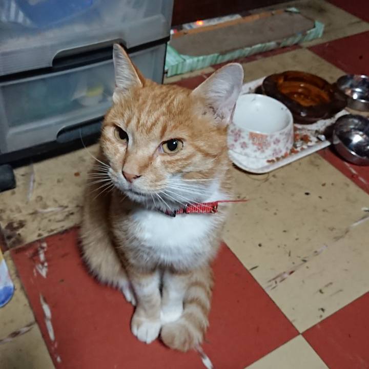 2c067f50 02ee 4c80 8994 71e0f6d5049f 1571084015907