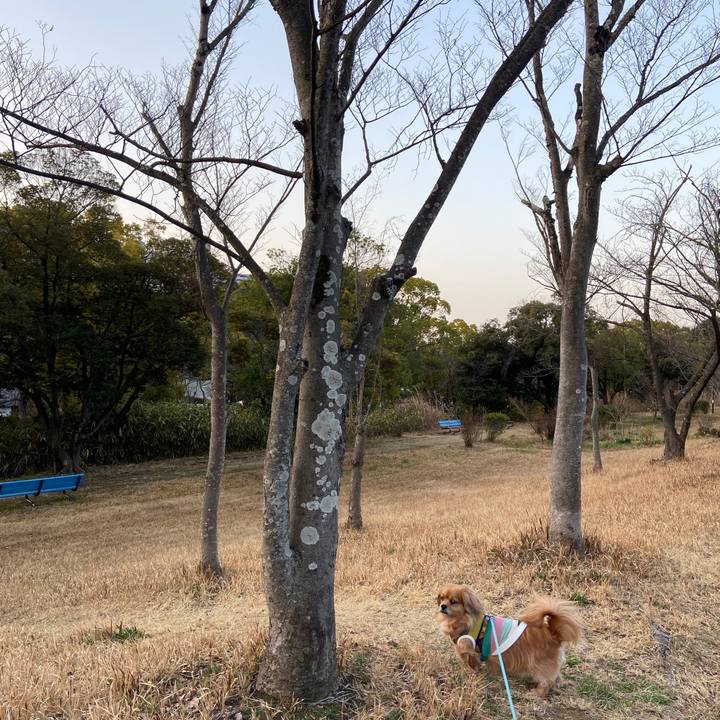 2c0698b7 ff7b 4058 af52 c36faba60540 1647466815253