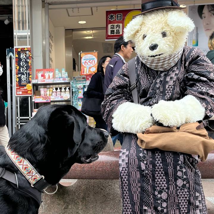 2c06a0a0 ba6a 442a 823f 8f8af50ea749 1761981539191