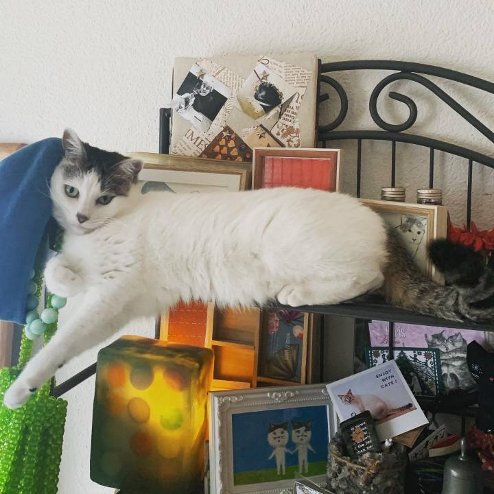 2c06ce76 494c 42f2 a457 b9f99e8b24b2 1642127529803