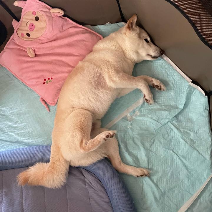 2c06f3a8 4be7 4460 b114 4195e41d25c8 1652593251015