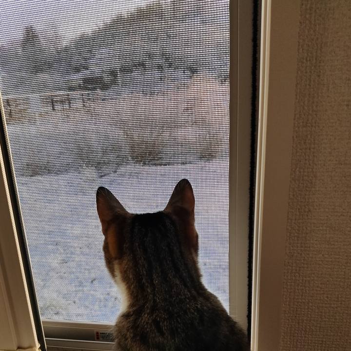 2c06f71b e787 4cd7 895c bb9c898a09c4 1672625160364