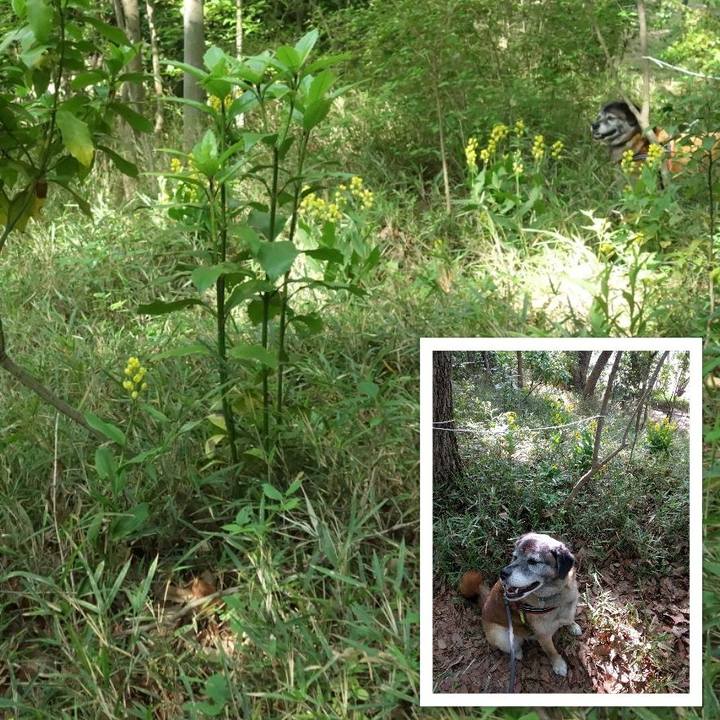 2c072453 e069 432a 95d2 22ee31d096c1 1524359165377