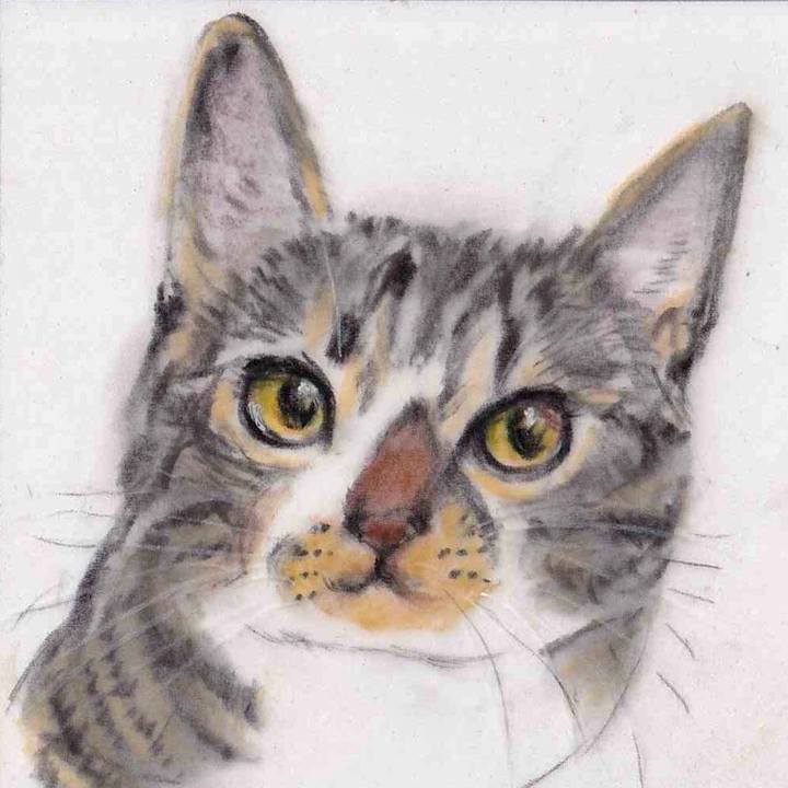 2c07353a 5a63 4728 a972 6fae5846b546 1653664550980