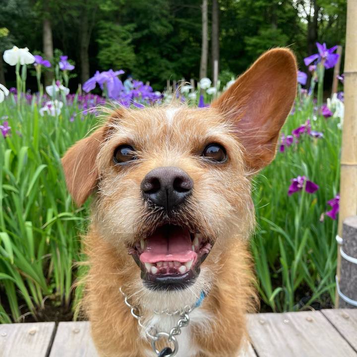 2c075621 ab91 4c50 a4f0 dd2e3a06e29f 1622276030210