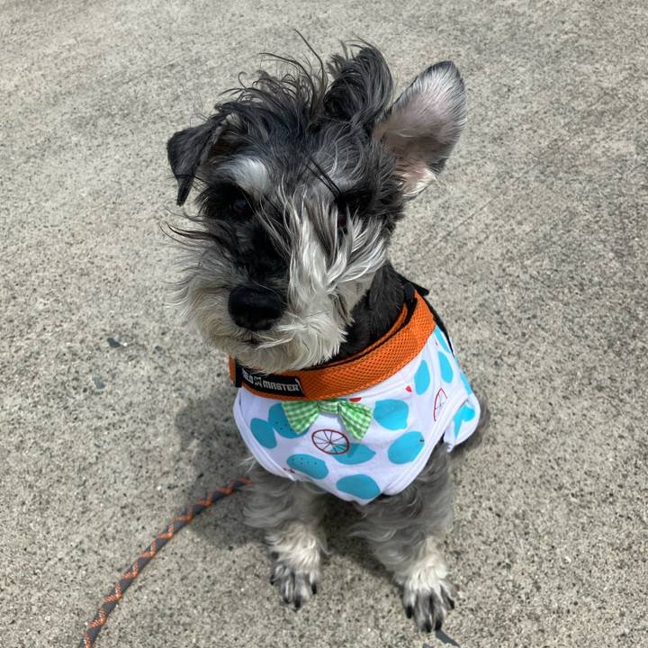 2c075948 ad6f 4ce1 bf83 4815a5b13626 1746880419559