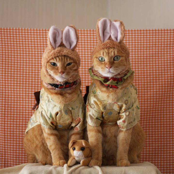 2c0796c3 38f3 4671 970e e97eafdbeefc 1511628222794