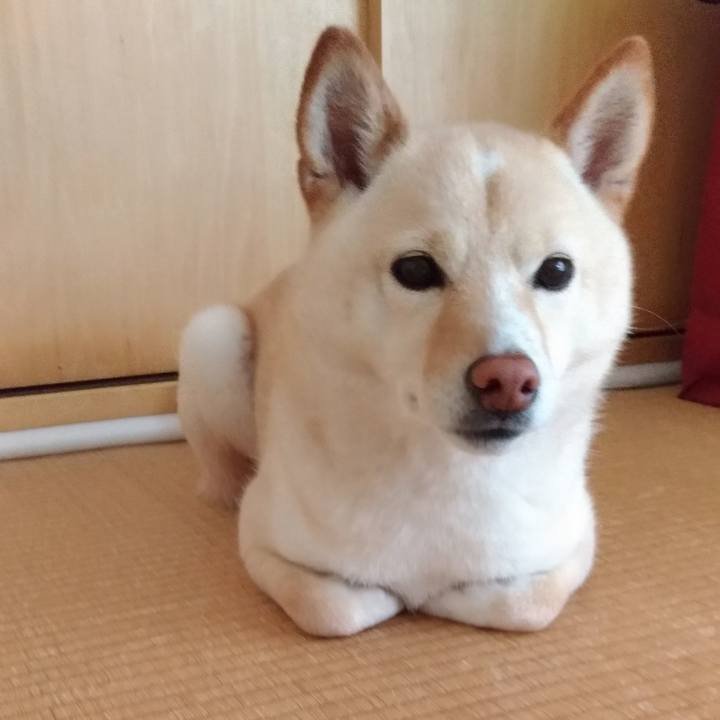 2c07caac f963 439a 9e6e 9ec3b26191a9 1589411020736