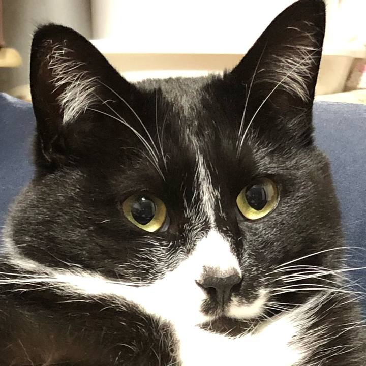 2c07e5f7 c815 4246 8077 db9b781c7f84 1654930667531