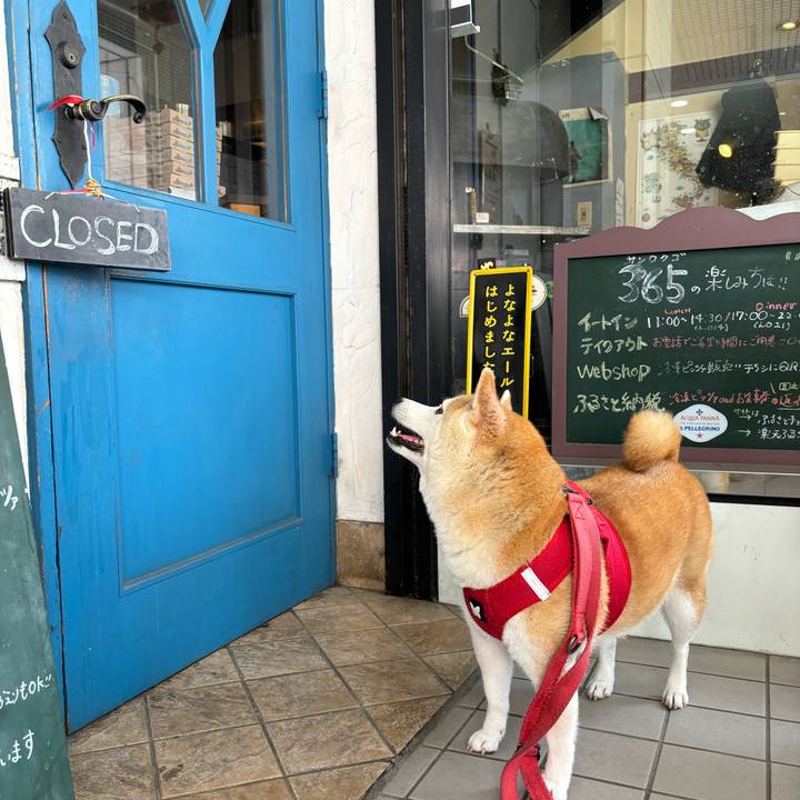 2c07e7d2 39b4 49b8 a120 4affd704b430 1728795960239