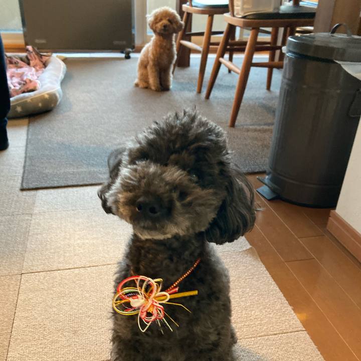 2c084686 09d1 4626 a822 7190369b9fb0 1641889091431