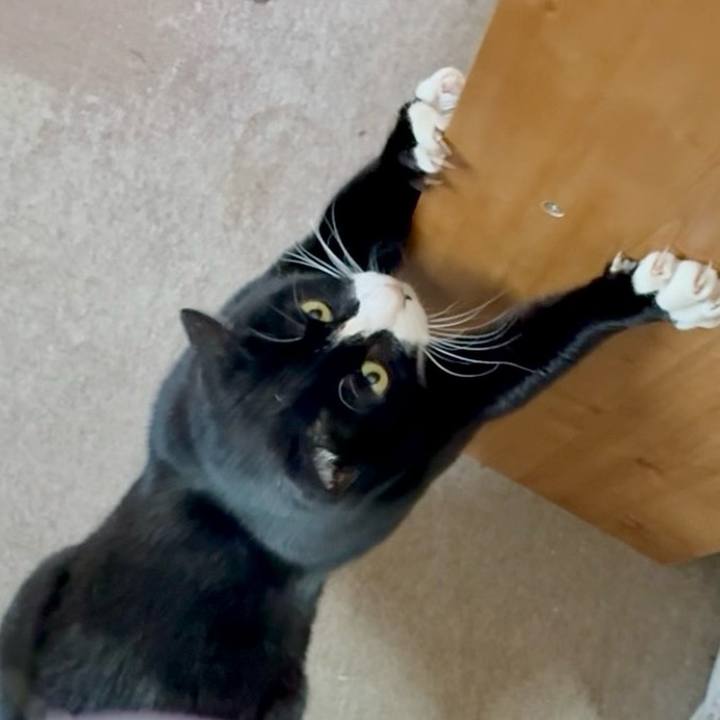 2c09c254 382f 449d 8f72 fbda85dbee88 1771685459342