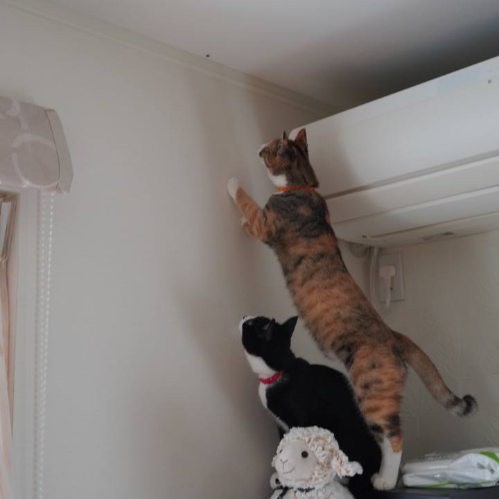 2c09d04c 2e4a 4314 97b7 840e96cf8134 1595843322878