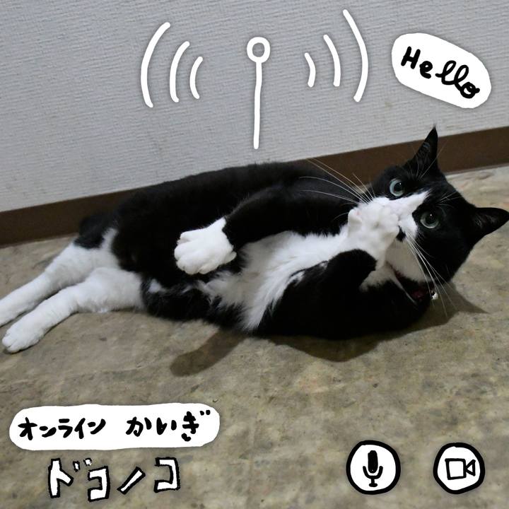 2c09ed1c f61a 4dc7 979d 43c9cb5e7103 1590701482210