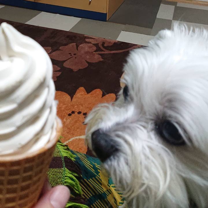 2c0a7327 3b27 4b52 a276 c5772045039d 1637844192470