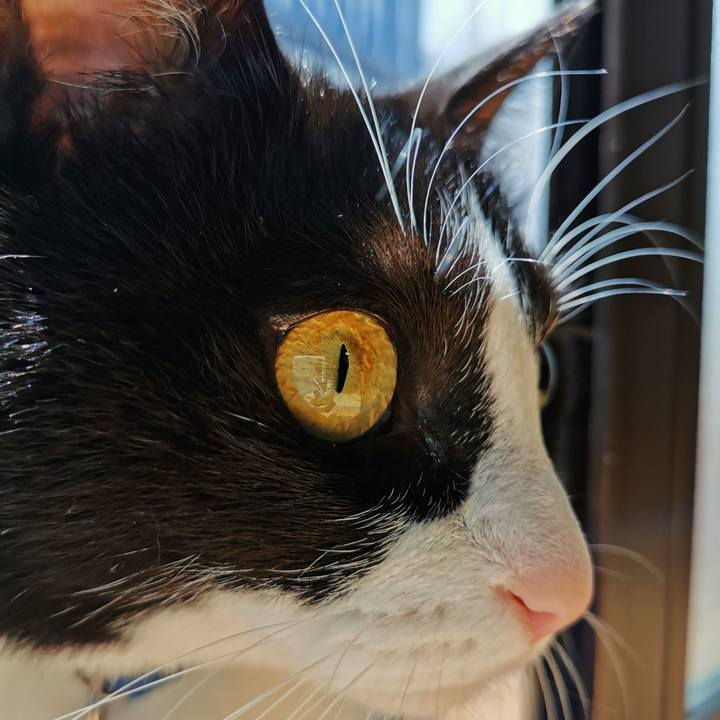 2c0a7658 b455 471a 9947 2951cf827bdc 1618648419382