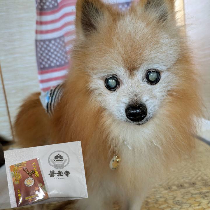 2c0a7e9c 19d0 4b2f ab5b 25b8081132da 1726794559729