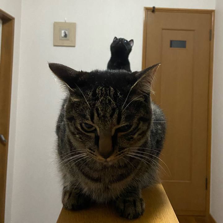 2c0a8a23 555f 4654 ab46 e2b5eb1e17c0 1623936652810