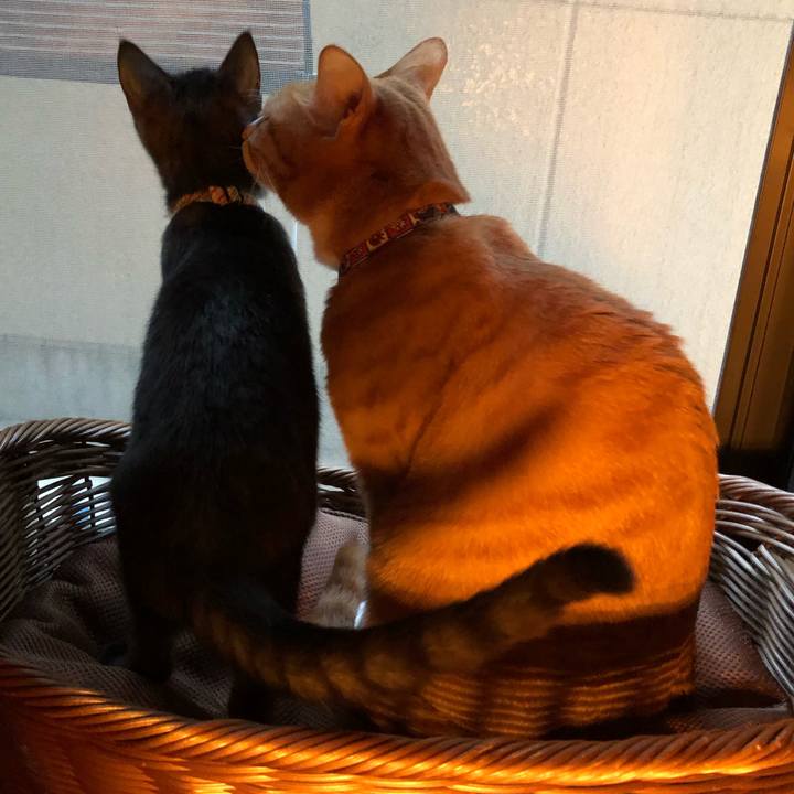 2c0a91b1 0bc0 44e5 8e33 2448b5ff1177 1610889368918