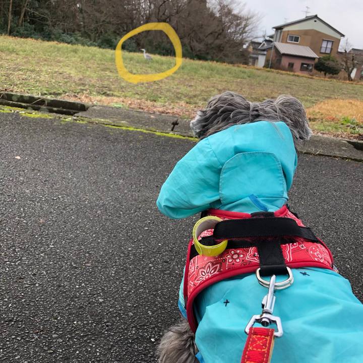 2c0a9b5a 0f2d 47c4 b2ee 37f361680a0b 1578795683655