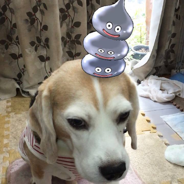 2c0af3c8 b359 4472 9055 64ef1285e7a8 1570341402037