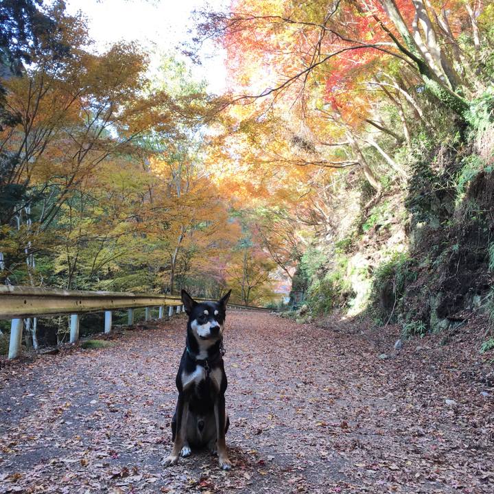 2c0b19d5 7b55 4baa b360 269055f9e134 1512085266143