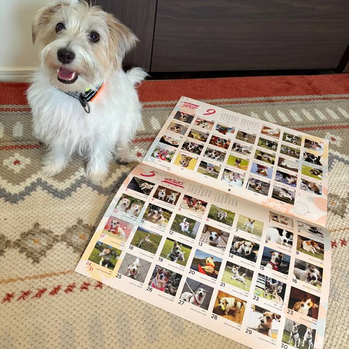 2c0b35df 1dfd 4040 9e63 ced3ae705f91 1763724074946