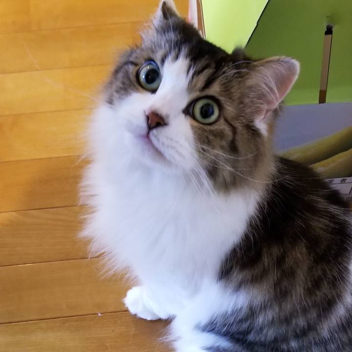 2c0b69c2 8173 4a55 bb51 29a704956ecd 1568846228614