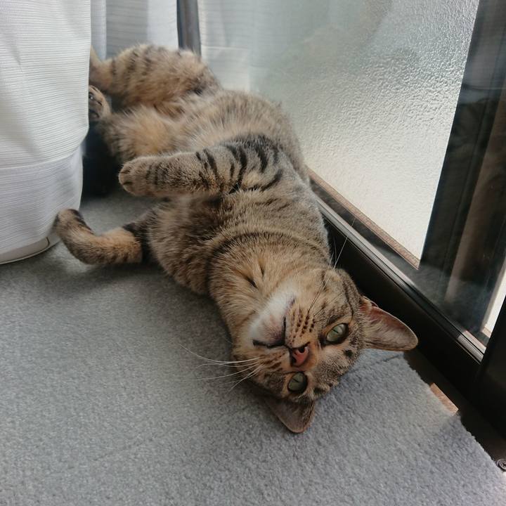 2c0b69f0 3e95 4630 acd7 4550f4a38737 1556859216773