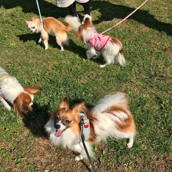 2c0b8fd6 2e7a 4804 8b92 2a0e47c572e3 1509700099712