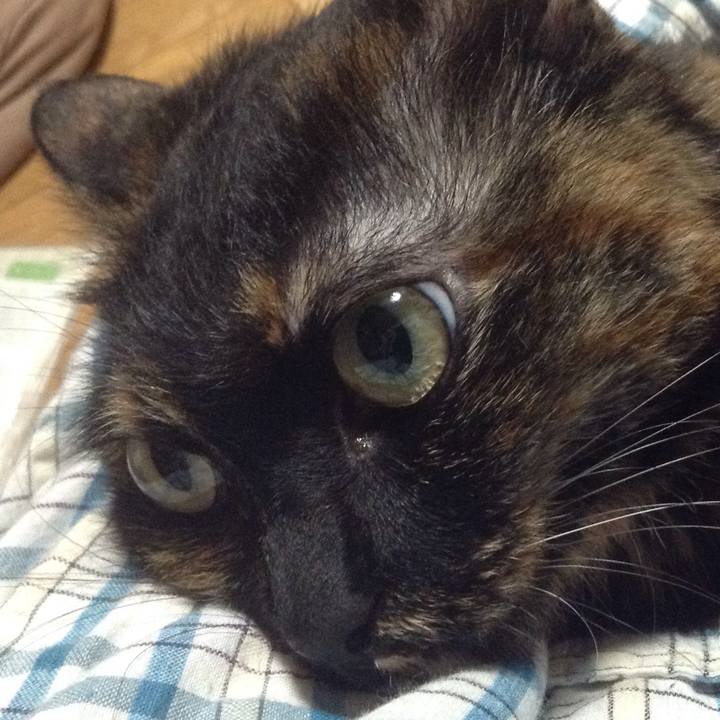 2c0bb53a 0ed3 40f9 a513 3f5b7be81690 1529932193868