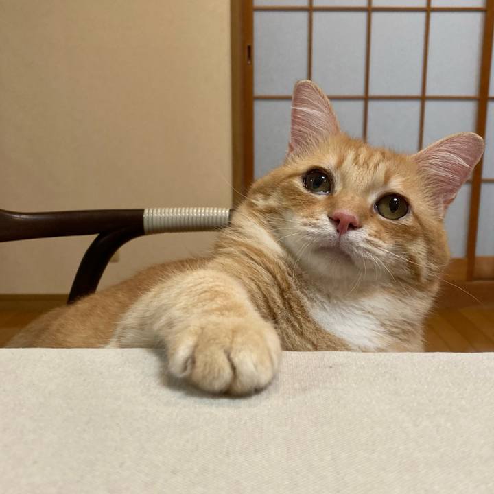 2c0bc7a4 cb0d 4c4b a3e1 79e1dad2fe1c 1761400808970