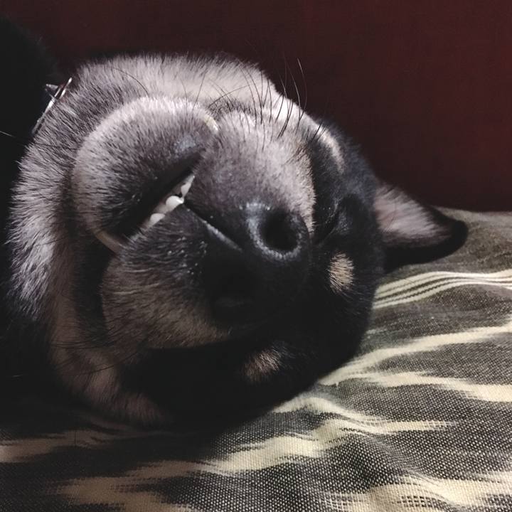 2c0beae3 6445 414e 89bb 848846c9a07e 1543076891229