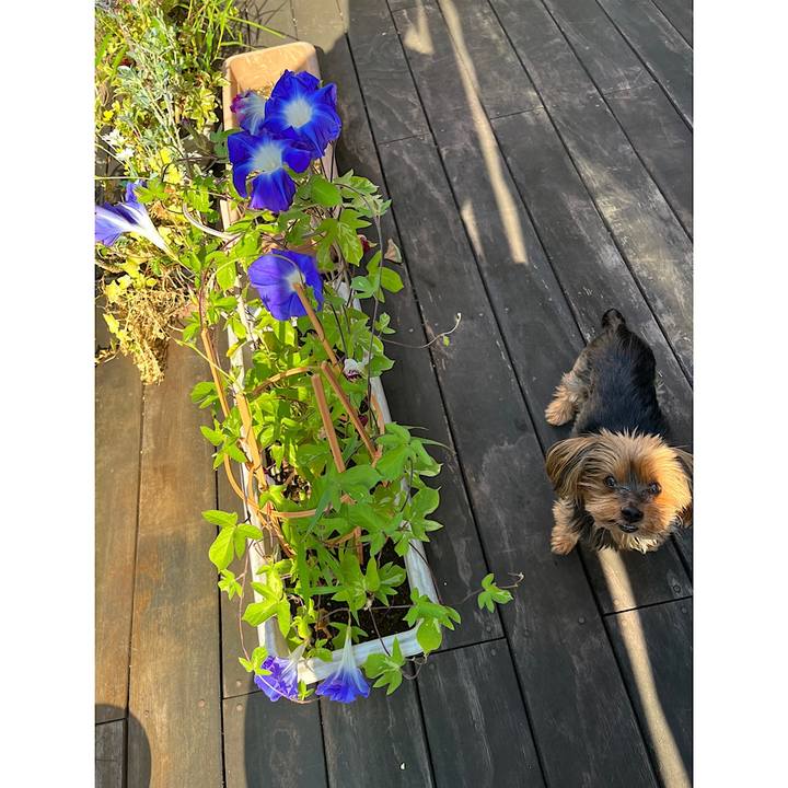 2c0bf34b b518 4d6b 96bd 74863615fe0f 1691188714027