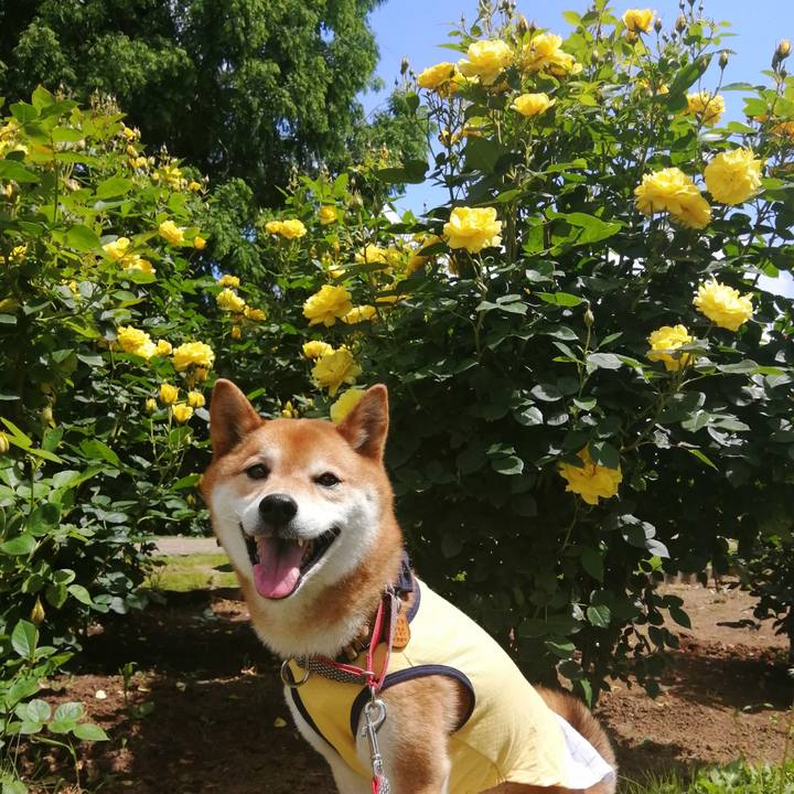 2c0c245f b1da 481b 8dfa a716c617a20c 1622696262035