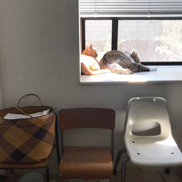 2c0c33e8 b223 4a78 aa67 5dceb106478f 1558661501340