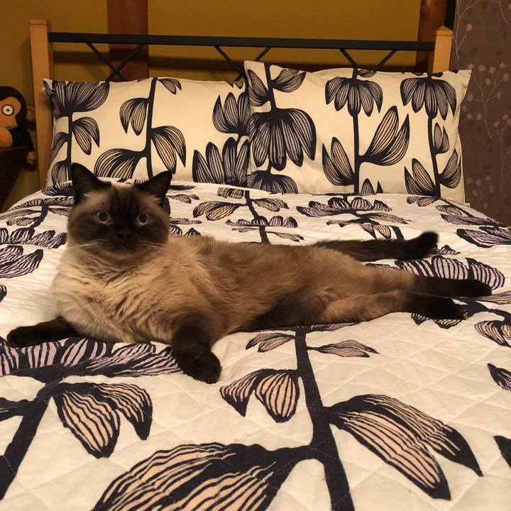 2c0c3754 0b19 45b3 96b8 b08bbadaca9f 1627356113710