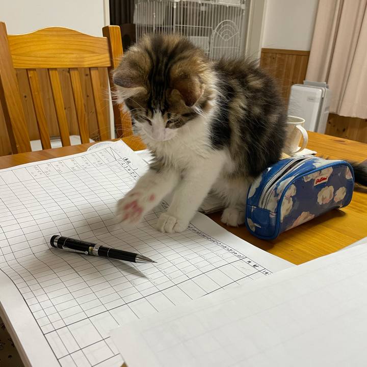 2c0c8633 6910 4f31 890b c6cef228eff6 1632999552511